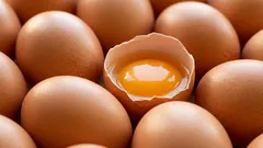 Jak správně skladovat vejce v lednici, aby vydržela déle čerstvá